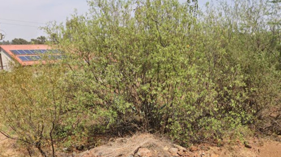 0 Bedroom Property for Sale in Vaal Marina Gauteng