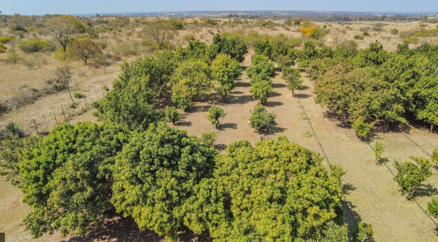 4 Bedroom Property for Sale in Bultfontein A H Gauteng