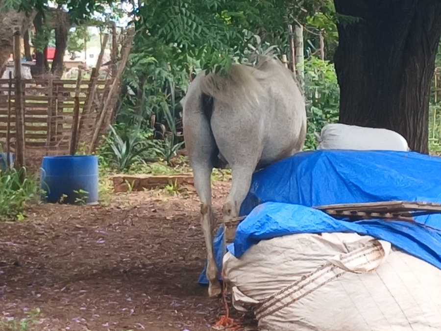 35 Bedroom Property for Sale in Waterval Ah Gauteng