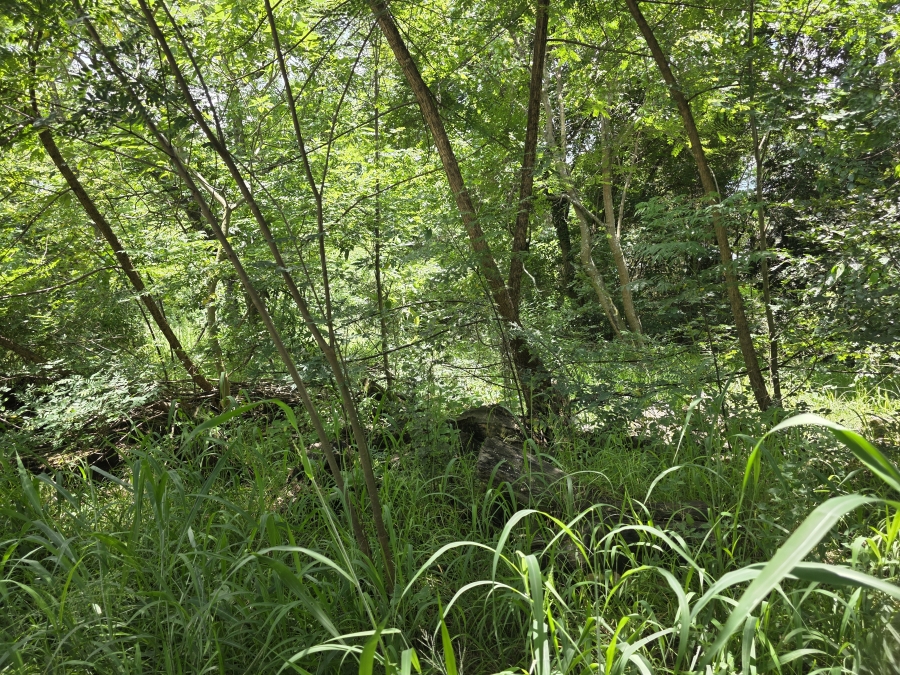 0 Bedroom Property for Sale in Bryanston Gauteng