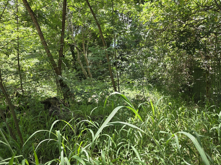 0 Bedroom Property for Sale in Bryanston Gauteng