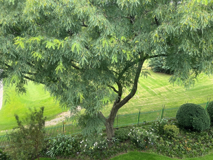 3 Bedroom Property for Sale in Kentview Gauteng