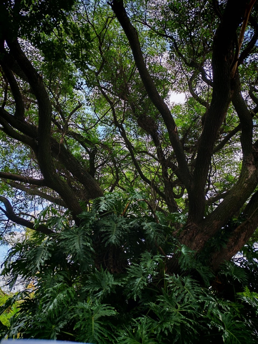 3 Bedroom Property for Sale in Rayton Gauteng