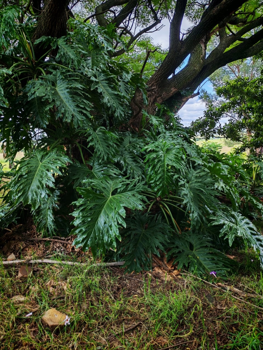 3 Bedroom Property for Sale in Rayton Gauteng