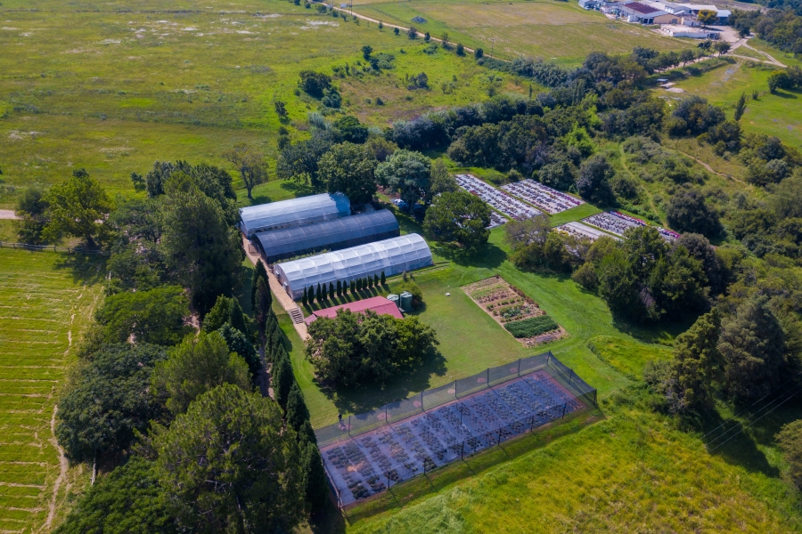 3 Bedroom Property for Sale in Lanseria Gauteng