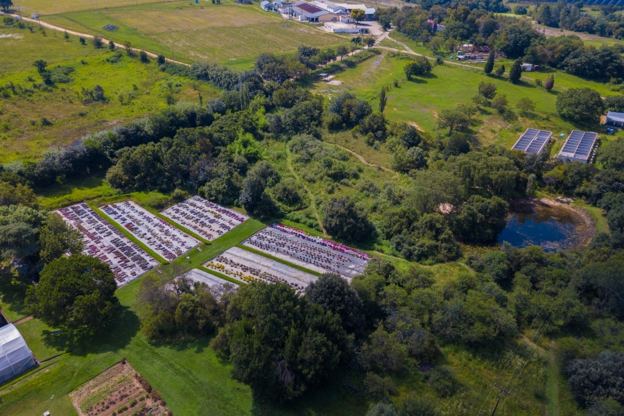 3 Bedroom Property for Sale in Lanseria Gauteng