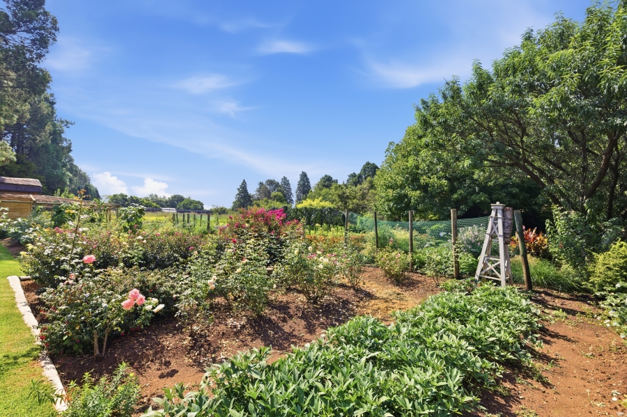 3 Bedroom Property for Sale in Lanseria Gauteng