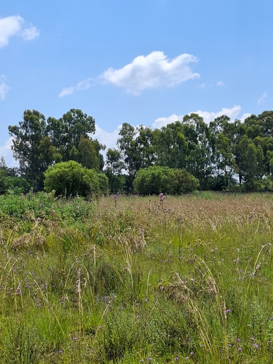 0 Bedroom Property for Sale in Gerardsville Gauteng