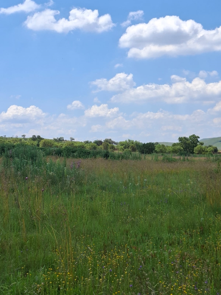 0 Bedroom Property for Sale in Gerardsville Gauteng