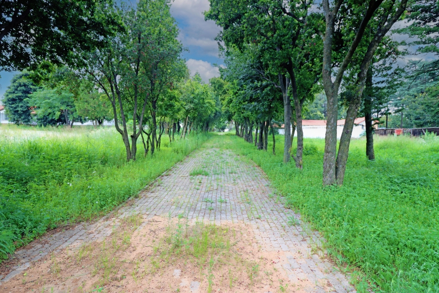 3 Bedroom Property for Sale in Knoppieslaagte Gauteng