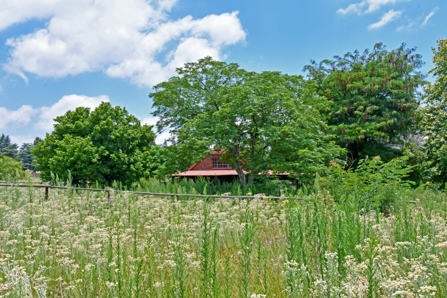 4 Bedroom Property for Sale in Kyalami Ah Gauteng