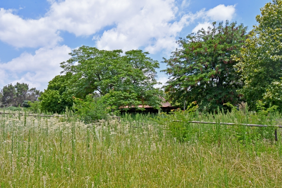 4 Bedroom Property for Sale in Kyalami Ah Gauteng