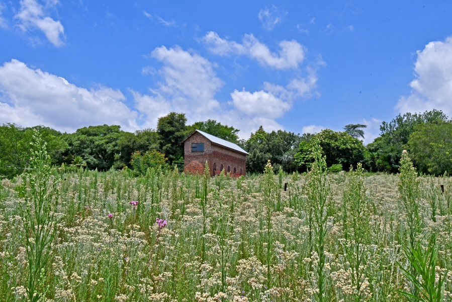 4 Bedroom Property for Sale in Kyalami Ah Gauteng