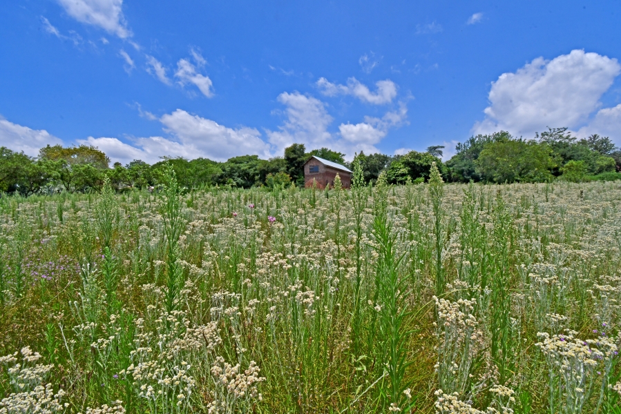 4 Bedroom Property for Sale in Kyalami Ah Gauteng