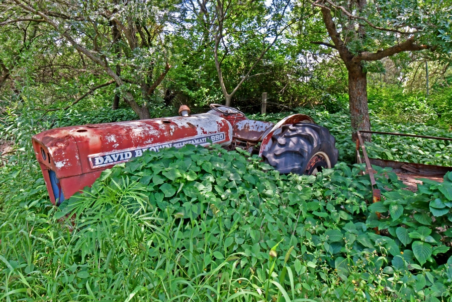 4 Bedroom Property for Sale in Kyalami Ah Gauteng