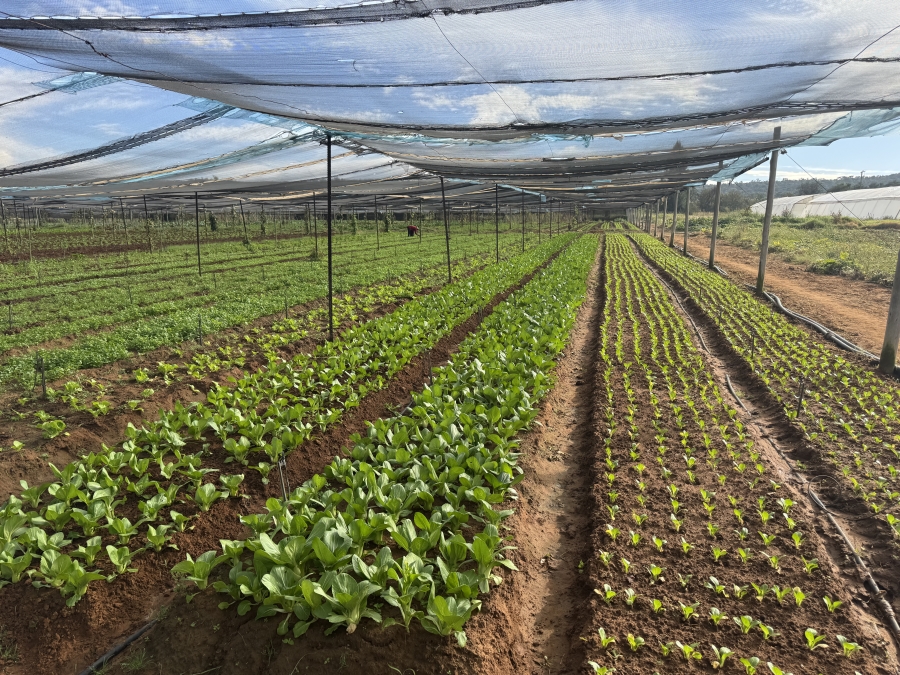 0 Bedroom Property for Sale in Kameelfontein Gauteng