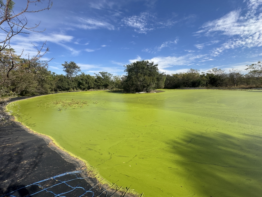 0 Bedroom Property for Sale in Kameelfontein Gauteng