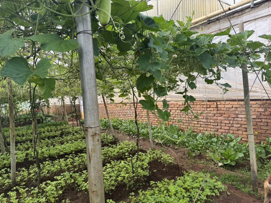 0 Bedroom Property for Sale in Kameelfontein Gauteng