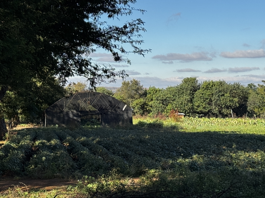 0 Bedroom Property for Sale in Kameelfontein Gauteng