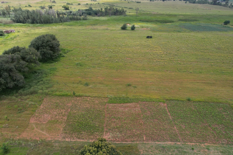 4 Bedroom Property for Sale in Vleikop A H Gauteng