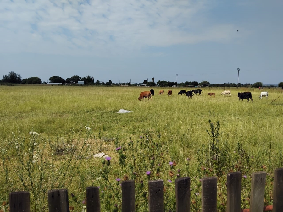 4 Bedroom Property for Sale in Nanescol Gauteng