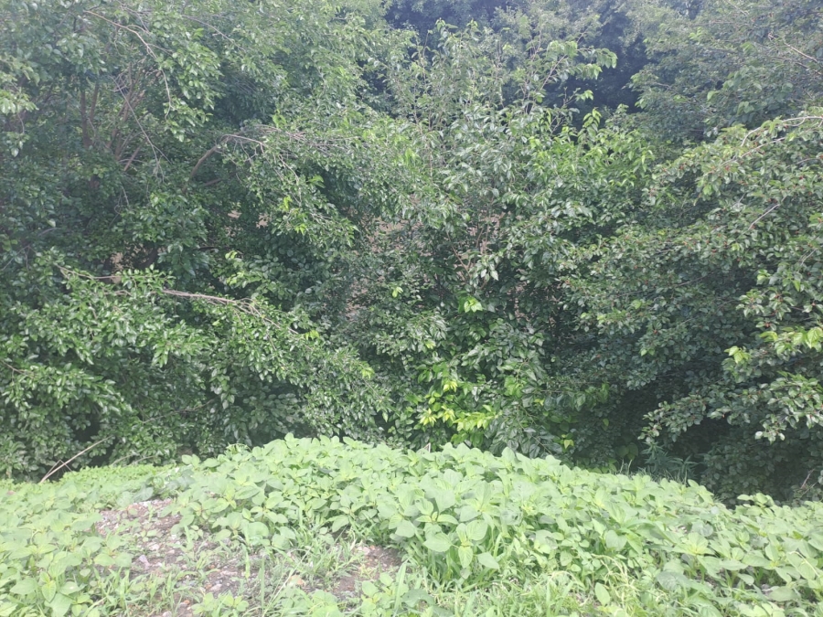 0 Bedroom Property for Sale in Risiville Gauteng