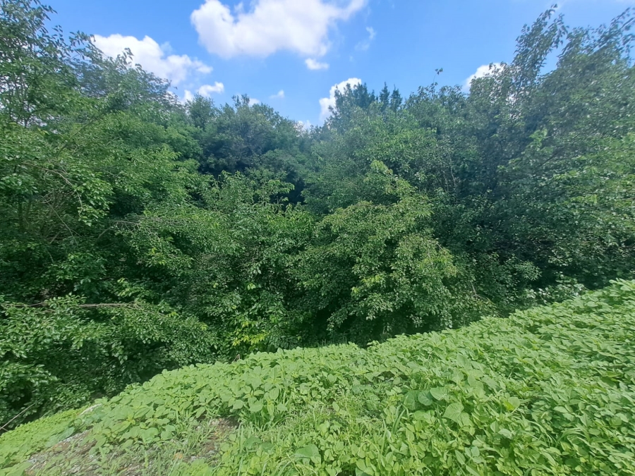 0 Bedroom Property for Sale in Risiville Gauteng