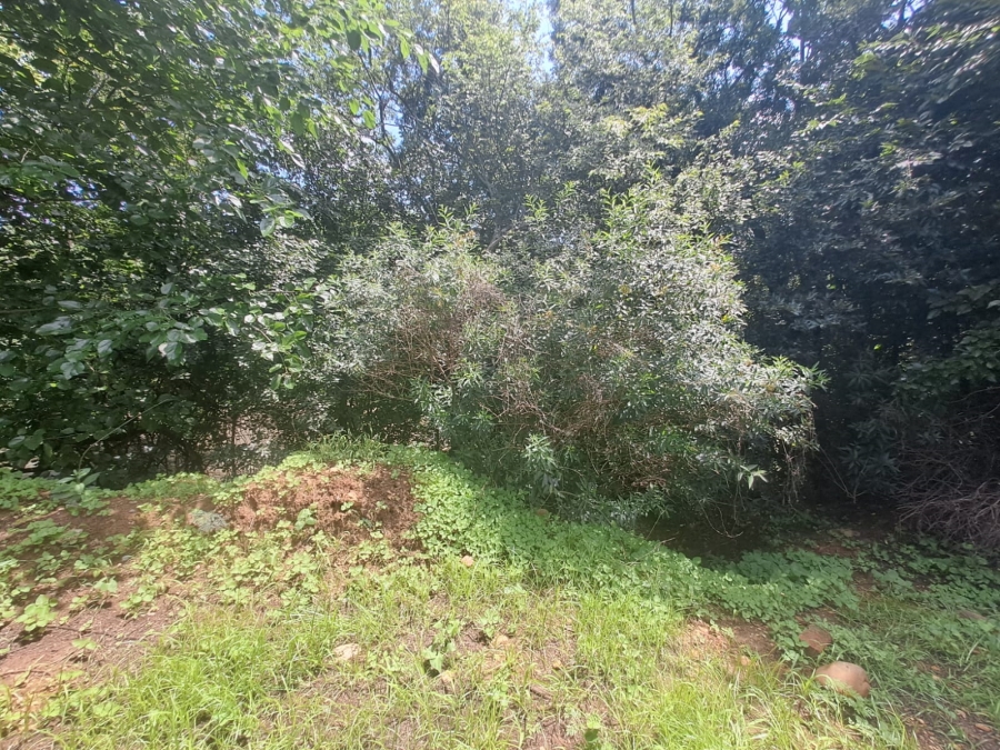 0 Bedroom Property for Sale in Risiville Gauteng