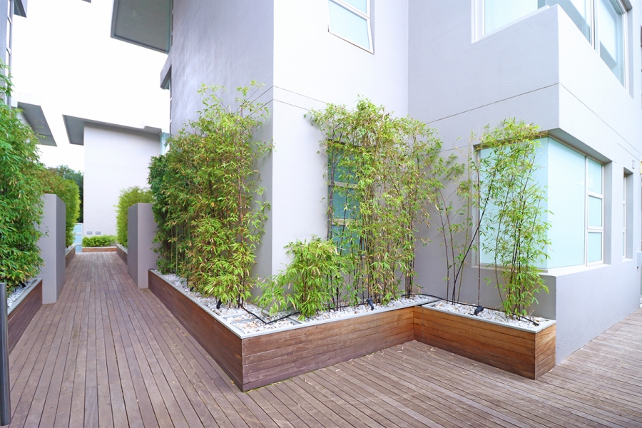 To Let 2 Bedroom Property for Rent in Morningside Gauteng