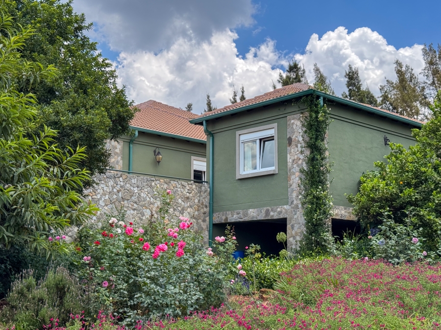 4 Bedroom Property for Sale in Blue Saddle Ranches Gauteng