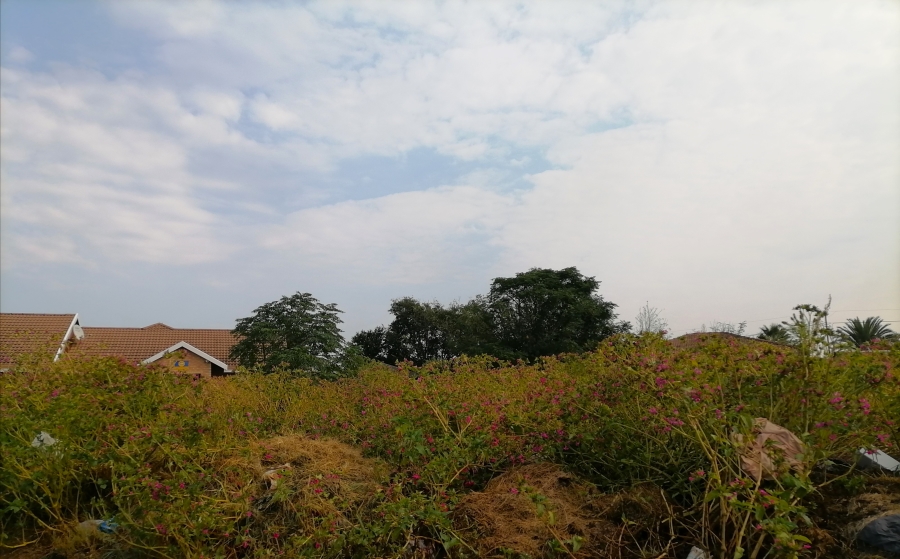 0 Bedroom Property for Sale in Bedworth Park Gauteng