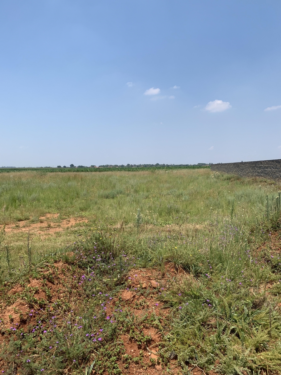 0 Bedroom Property for Sale in Henley on Klip Gauteng