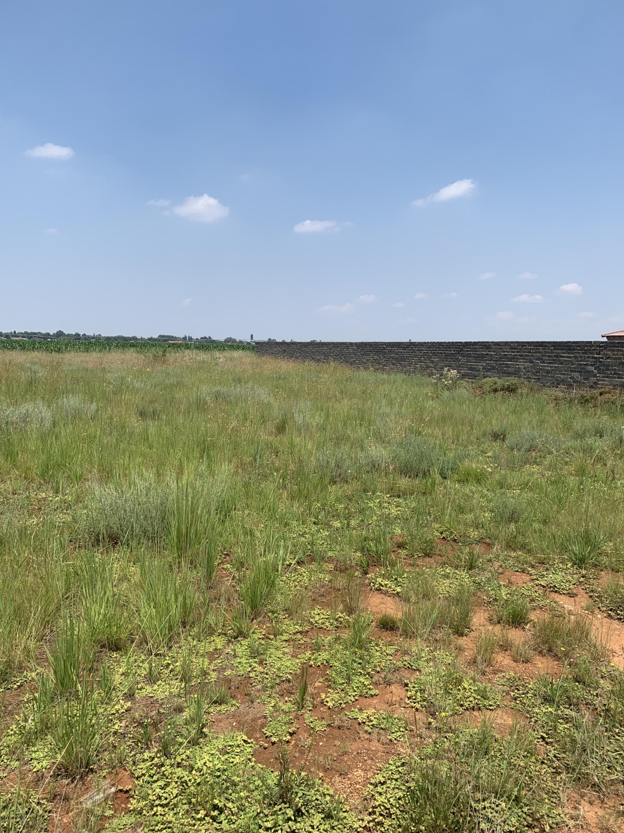 0 Bedroom Property for Sale in Henley on Klip Gauteng