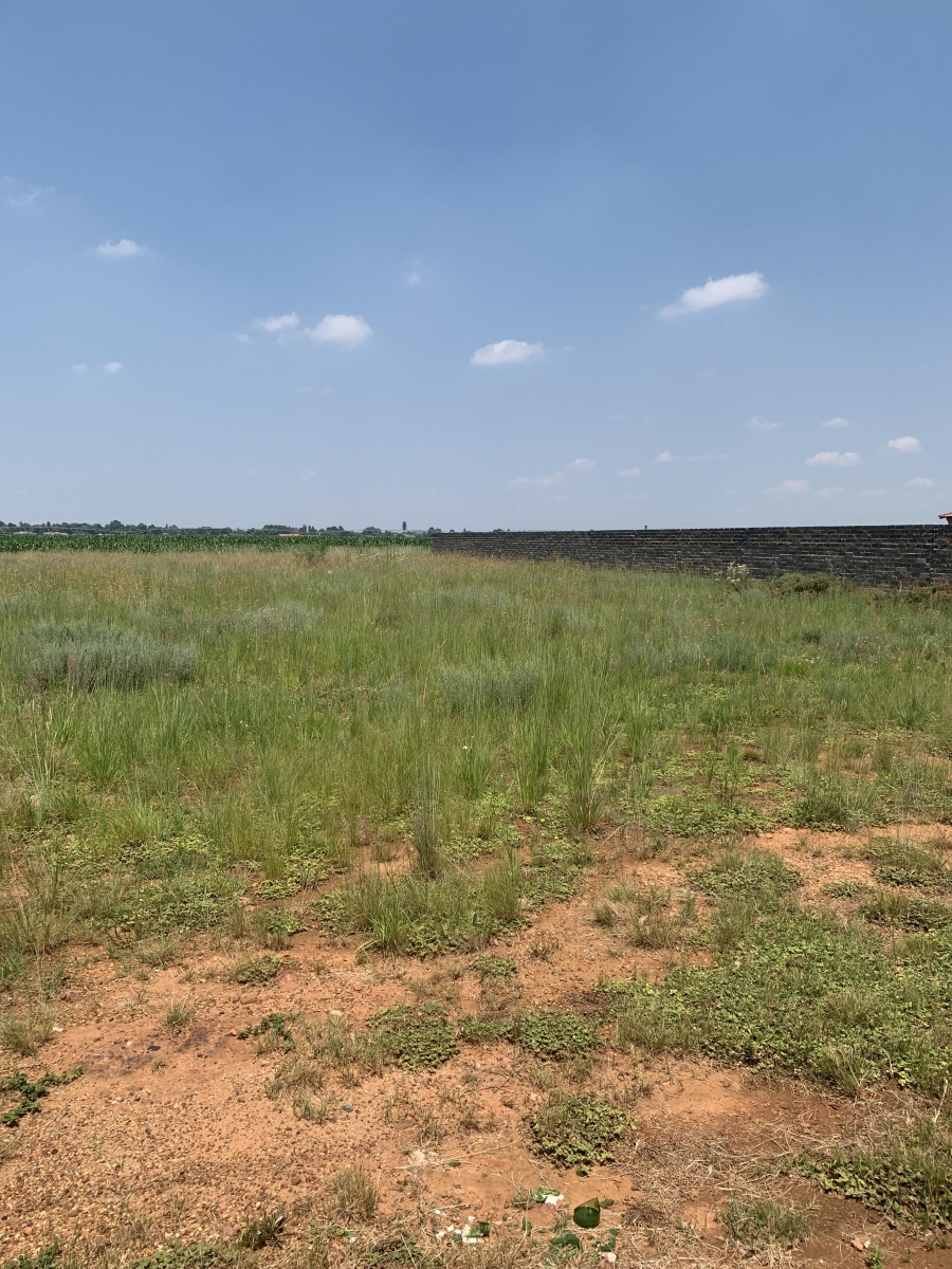 0 Bedroom Property for Sale in Henley on Klip Gauteng