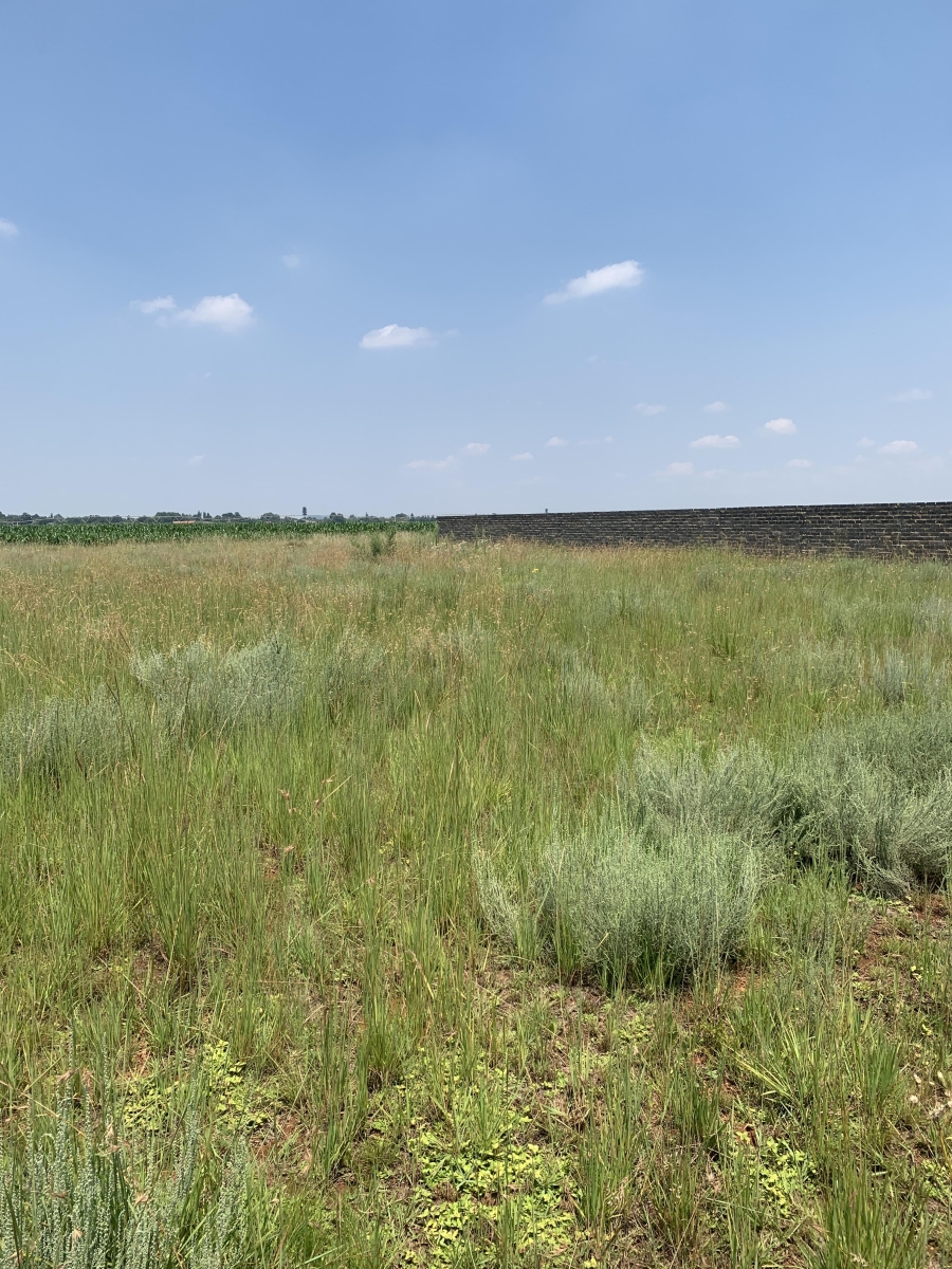 0 Bedroom Property for Sale in Henley on Klip Gauteng