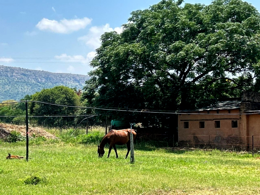 22 Bedroom Property for Sale in Kameeldrift West Gauteng