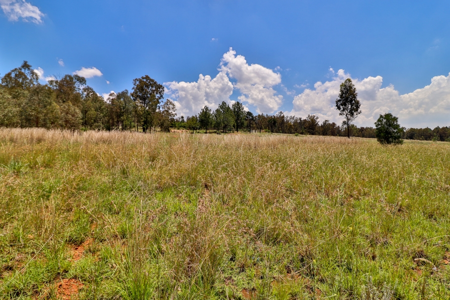 3 Bedroom Property for Sale in Alewynspoort Gauteng