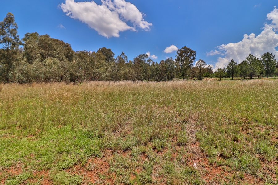 3 Bedroom Property for Sale in Alewynspoort Gauteng