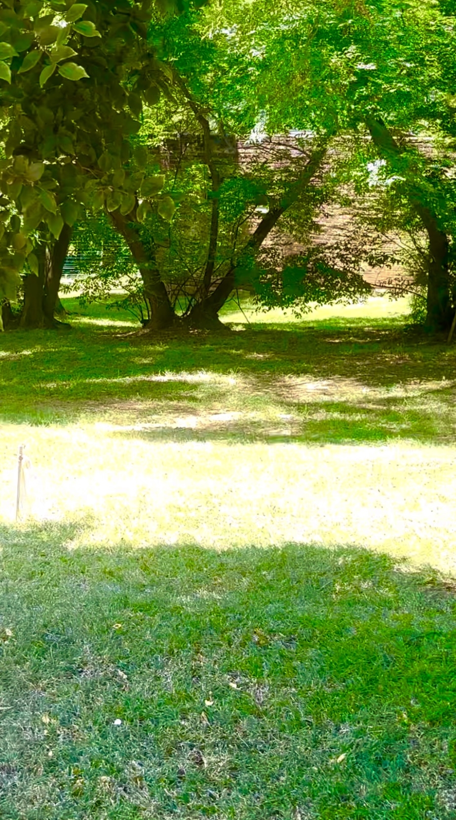 0 Bedroom Property for Sale in Morningside Gauteng