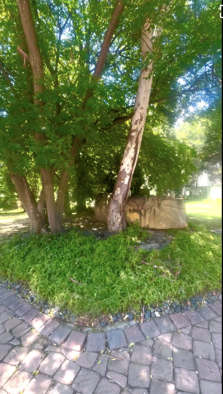 0 Bedroom Property for Sale in Morningside Gauteng