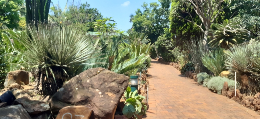To Let 4 Bedroom Property for Rent in Groenkloof Gauteng