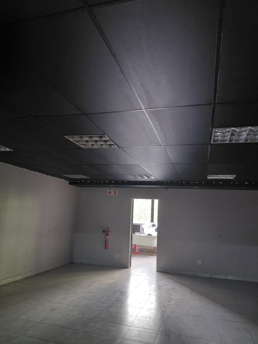 To Let commercial Property for Rent in Sunnyside Gauteng
