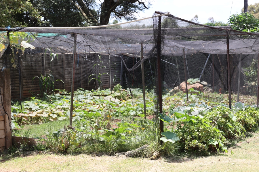 Commercial Property for Sale in Doornkloof Gauteng