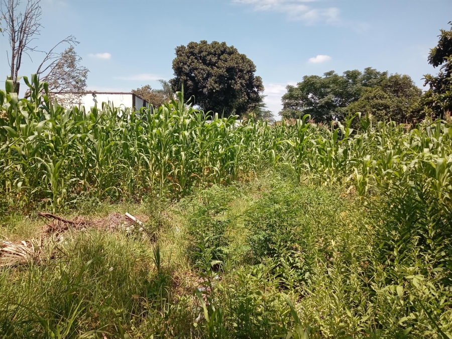 4 Bedroom Property for Sale in Ferndale Gauteng