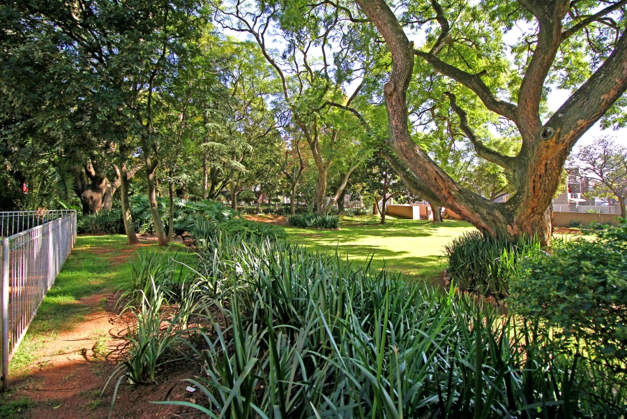 3 Bedroom Property for Sale in Houghton Estate Gauteng