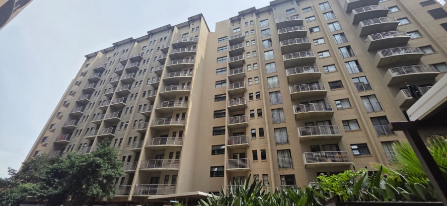 To Let 0 Bedroom Property for Rent in Hatfield Gauteng