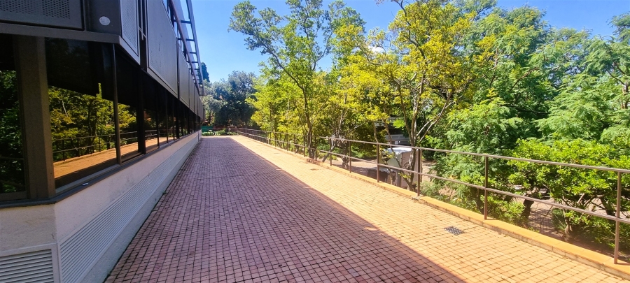 To Let commercial Property for Rent in Woodmead Gauteng