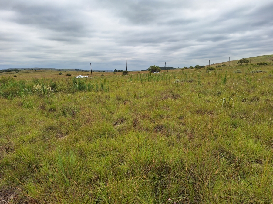 0 Bedroom Property for Sale in Oak Tree Gauteng