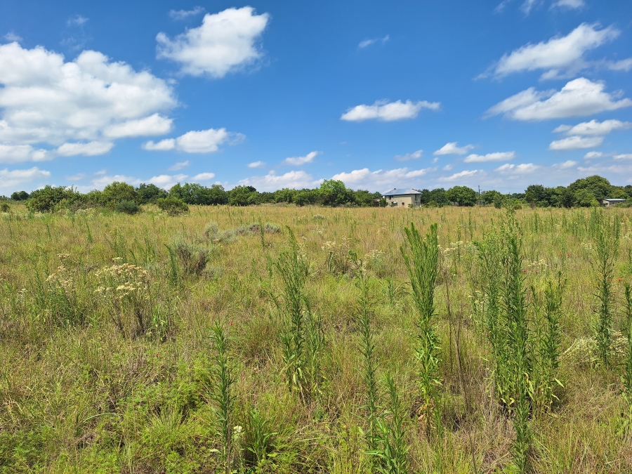 0 Bedroom Property for Sale in Oak Tree Gauteng