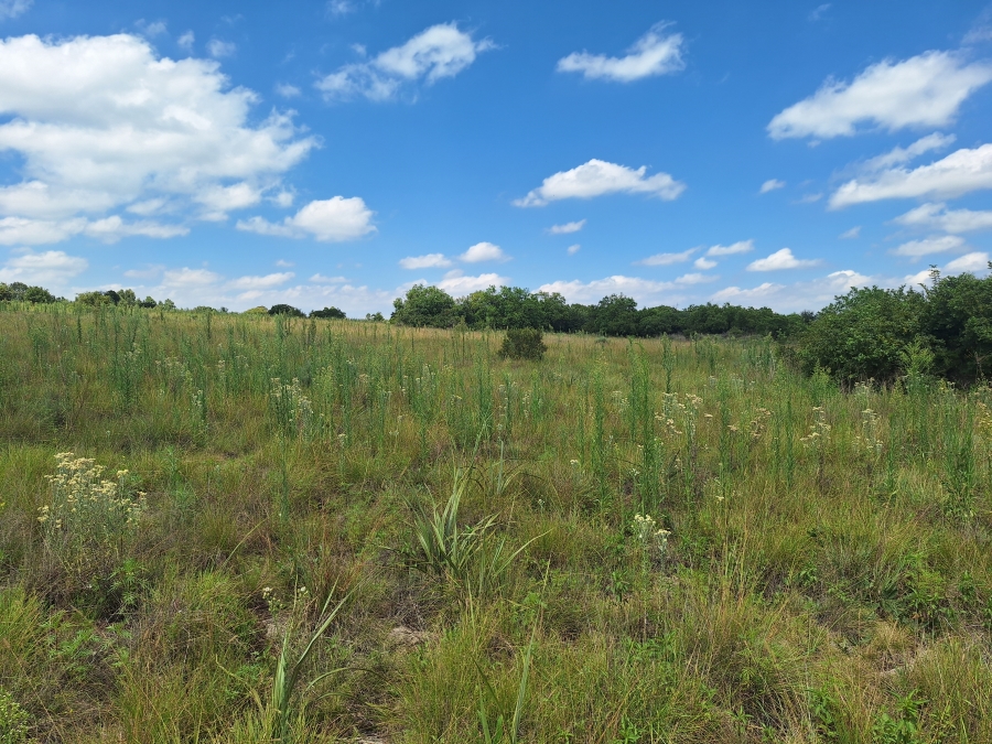 0 Bedroom Property for Sale in Oak Tree Gauteng